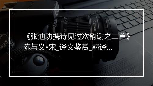 《张迪功携诗见过次韵谢之二首》陈与义•宋_译文鉴赏_翻译赏析