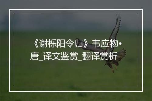 《谢栎阳令归》韦应物•唐_译文鉴赏_翻译赏析