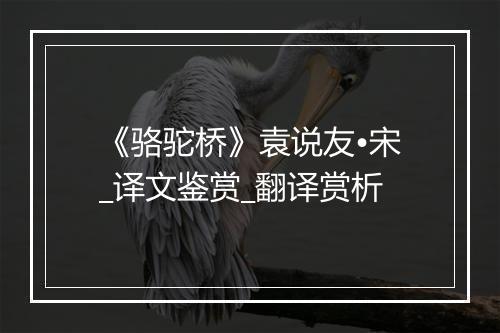 《骆驼桥》袁说友•宋_译文鉴赏_翻译赏析