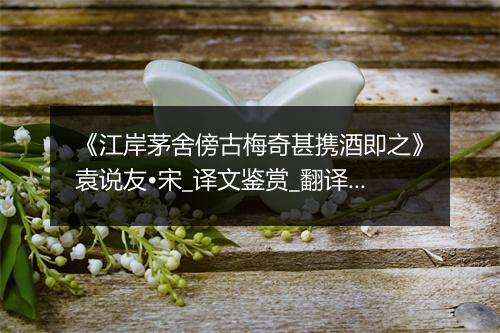 《江岸茅舍傍古梅奇甚携酒即之》袁说友•宋_译文鉴赏_翻译赏析