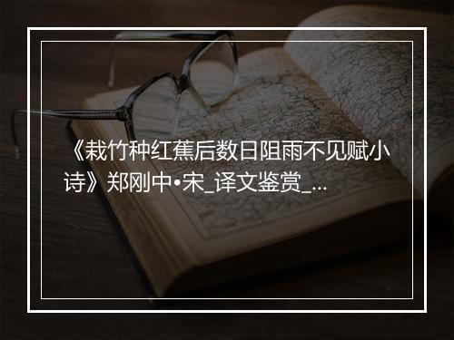 《栽竹种红蕉后数日阻雨不见赋小诗》郑刚中•宋_译文鉴赏_翻译赏析