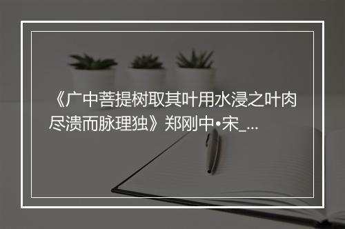 《广中菩提树取其叶用水浸之叶肉尽溃而脉理独》郑刚中•宋_译文鉴赏_翻译赏析