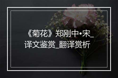 《菊花》郑刚中•宋_译文鉴赏_翻译赏析