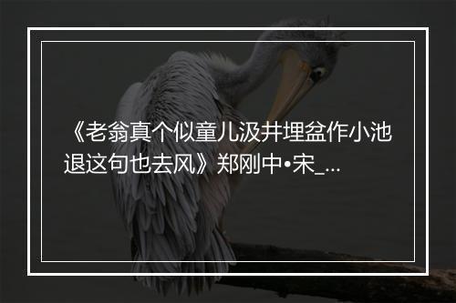 《老翁真个似童儿汲井埋盆作小池退这句也去风》郑刚中•宋_译文鉴赏_翻译赏析