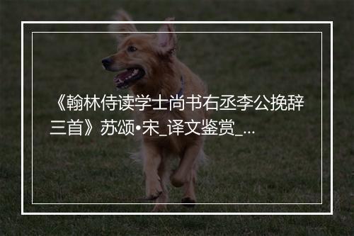 《翰林侍读学士尚书右丞李公挽辞三首》苏颂•宋_译文鉴赏_翻译赏析