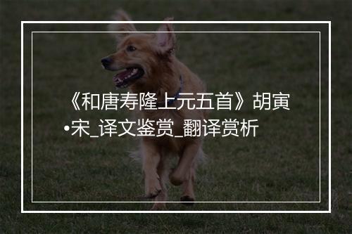 《和唐寿隆上元五首》胡寅•宋_译文鉴赏_翻译赏析