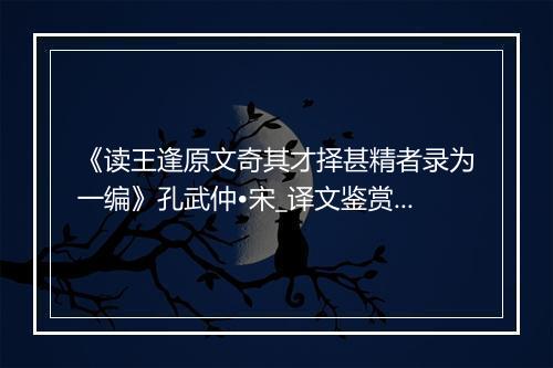 《读王逢原文奇其才择甚精者录为一编》孔武仲•宋_译文鉴赏_翻译赏析