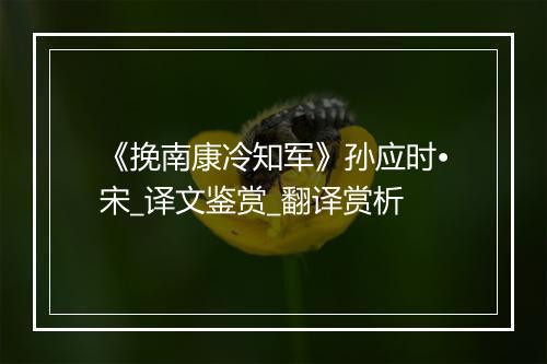 《挽南康冷知军》孙应时•宋_译文鉴赏_翻译赏析