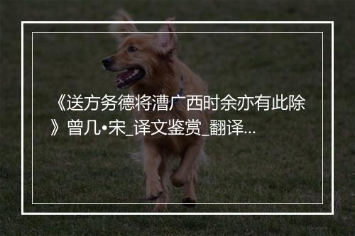 《送方务德将漕广西时余亦有此除》曾几•宋_译文鉴赏_翻译赏析