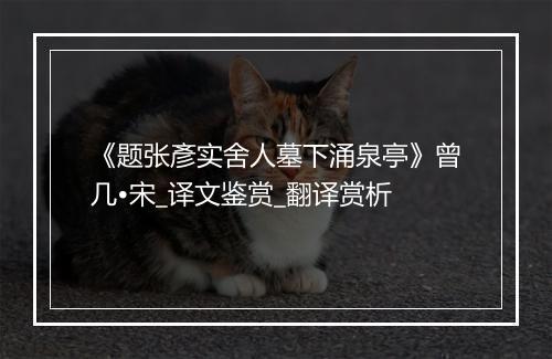 《题张彥实舍人墓下涌泉亭》曾几•宋_译文鉴赏_翻译赏析