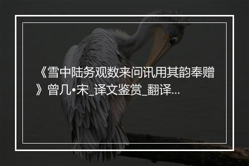 《雪中陆务观数来问讯用其韵奉赠》曾几•宋_译文鉴赏_翻译赏析