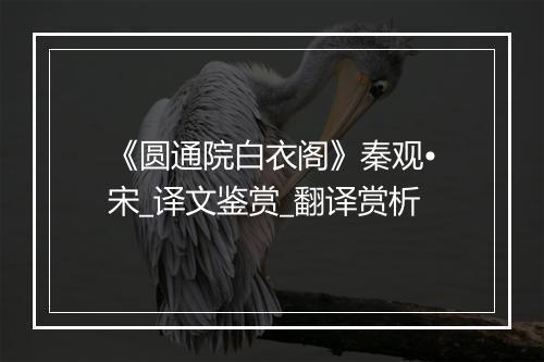 《圆通院白衣阁》秦观•宋_译文鉴赏_翻译赏析