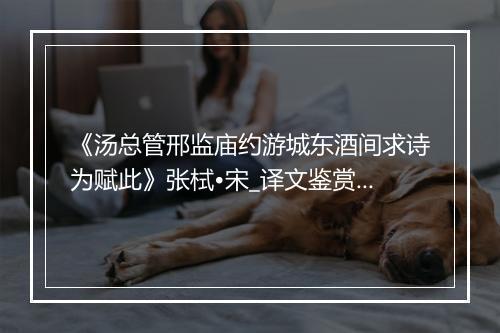 《汤总管邢监庙约游城东酒间求诗为赋此》张栻•宋_译文鉴赏_翻译赏析