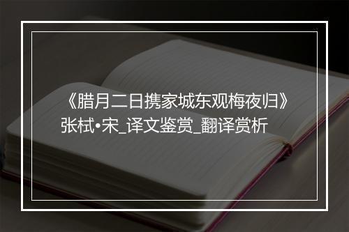 《腊月二日携家城东观梅夜归》张栻•宋_译文鉴赏_翻译赏析