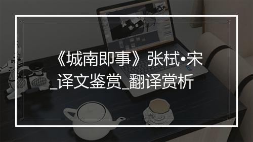 《城南即事》张栻•宋_译文鉴赏_翻译赏析