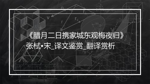 《腊月二日携家城东观梅夜归》张栻•宋_译文鉴赏_翻译赏析