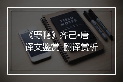 《野鸭》齐己•唐_译文鉴赏_翻译赏析