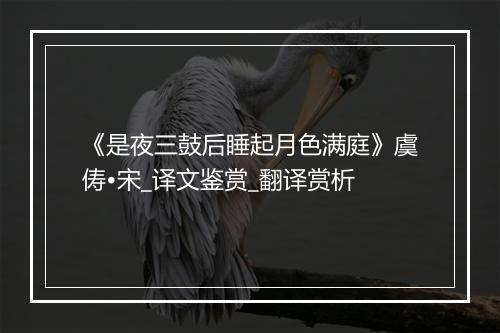 《是夜三鼓后睡起月色满庭》虞俦•宋_译文鉴赏_翻译赏析