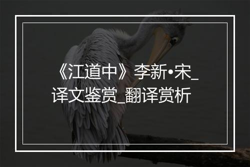 《江道中》李新•宋_译文鉴赏_翻译赏析