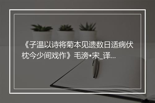 《子温以诗将菊本见遗数日适病伏枕今少间戏作》毛滂•宋_译文鉴赏_翻译赏析