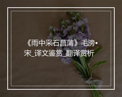 《雨中采石菖蒲》毛滂•宋_译文鉴赏_翻译赏析