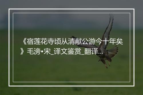 《宿莲花寺顷从清献公游今十年矣》毛滂•宋_译文鉴赏_翻译赏析