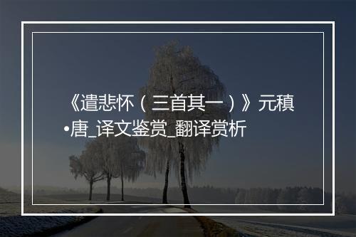 《遣悲怀（三首其一）》元稹•唐_译文鉴赏_翻译赏析