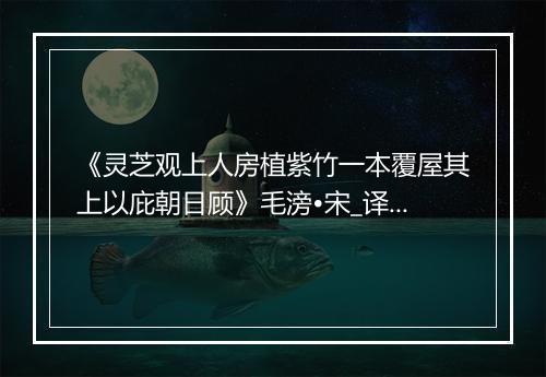 《灵芝观上人房植紫竹一本覆屋其上以庇朝日顾》毛滂•宋_译文鉴赏_翻译赏析