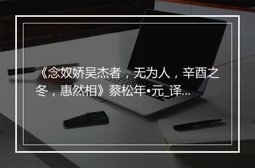 《念奴娇吴杰者，无为人，辛酉之冬，惠然相》蔡松年•元_译文鉴赏_翻译赏析