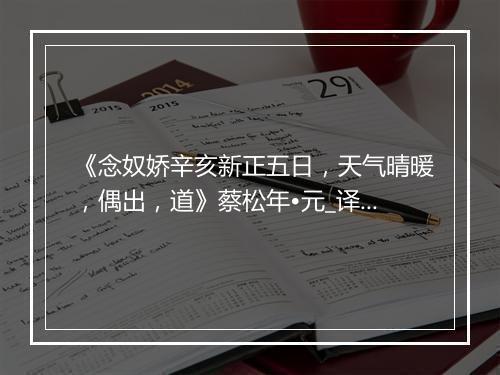 《念奴娇辛亥新正五日，天气晴暖，偶出，道》蔡松年•元_译文鉴赏_翻译赏析