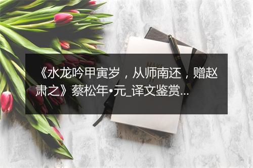 《水龙吟甲寅岁，从师南还，赠赵肃之》蔡松年•元_译文鉴赏_翻译赏析