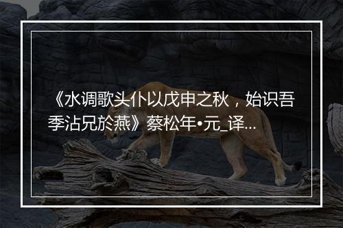 《水调歌头仆以戊申之秋，始识吾季沾兄於燕》蔡松年•元_译文鉴赏_翻译赏析