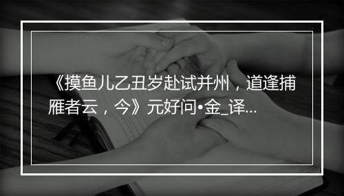 《摸鱼儿乙丑岁赴试并州，道逢捕雁者云，今》元好问•金_译文鉴赏_翻译赏析