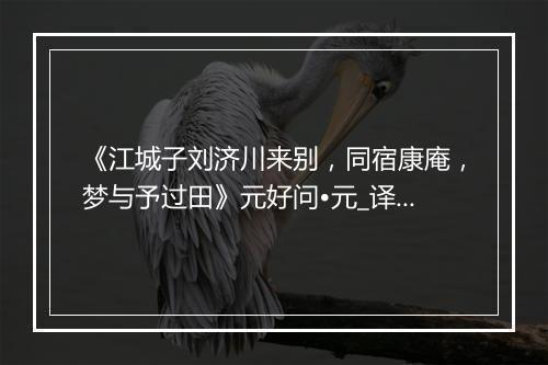 《江城子刘济川来别，同宿康庵，梦与予过田》元好问•元_译文鉴赏_翻译赏析