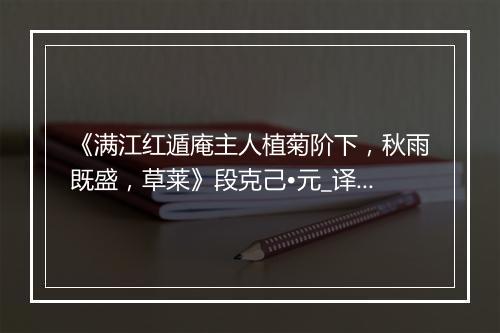 《满江红遁庵主人植菊阶下，秋雨既盛，草莱》段克己•元_译文鉴赏_翻译赏析