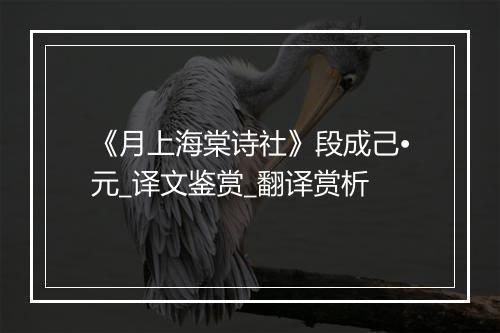 《月上海棠诗社》段成己•元_译文鉴赏_翻译赏析