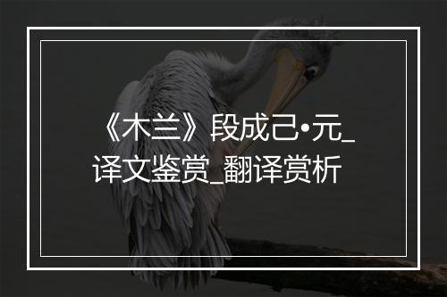 《木兰》段成己•元_译文鉴赏_翻译赏析