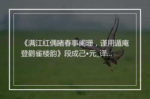 《满江红偶睹春事阑珊，谨用遁庵登鹳雀楼韵》段成己•元_译文鉴赏_翻译赏析