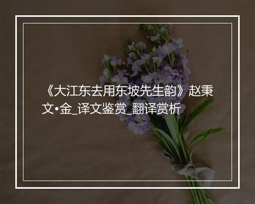 《大江东去用东坡先生韵》赵秉文•金_译文鉴赏_翻译赏析