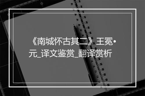 《南城怀古其二》王冕•元_译文鉴赏_翻译赏析