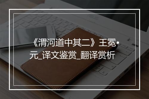 《渭河道中其二》王冕•元_译文鉴赏_翻译赏析