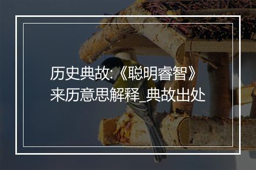 历史典故:《聪明睿智》来历意思解释_典故出处