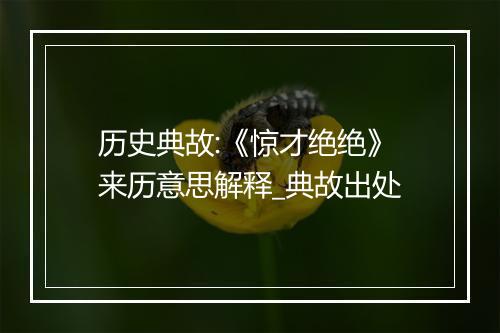 历史典故:《惊才绝绝》来历意思解释_典故出处