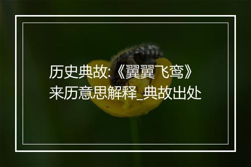 历史典故:《翼翼飞鸾》来历意思解释_典故出处