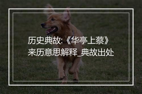 历史典故:《华亭上蔡》来历意思解释_典故出处