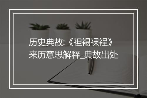 历史典故:《袒裼裸裎》来历意思解释_典故出处