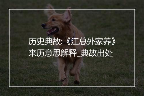 历史典故:《江总外家养》来历意思解释_典故出处