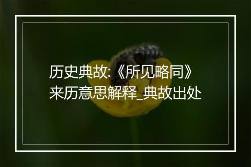 历史典故:《所见略同》来历意思解释_典故出处