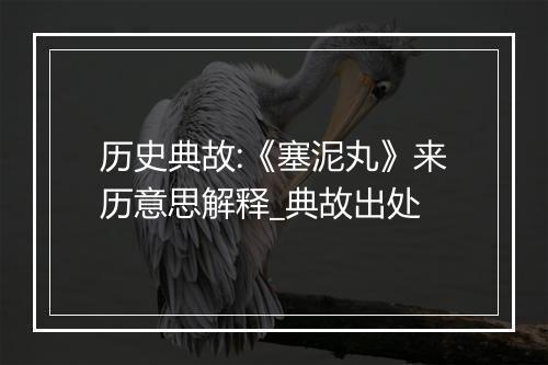 历史典故:《塞泥丸》来历意思解释_典故出处