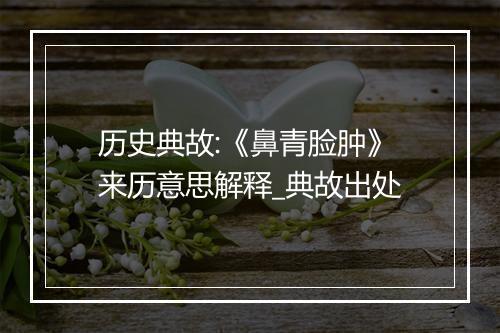 历史典故:《鼻青脸肿》来历意思解释_典故出处